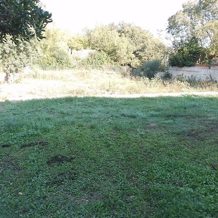 Casa Amb Gran Jardi A Vilauer-Costa Brava - Alt Emporda Vilaur Eksteriør billede