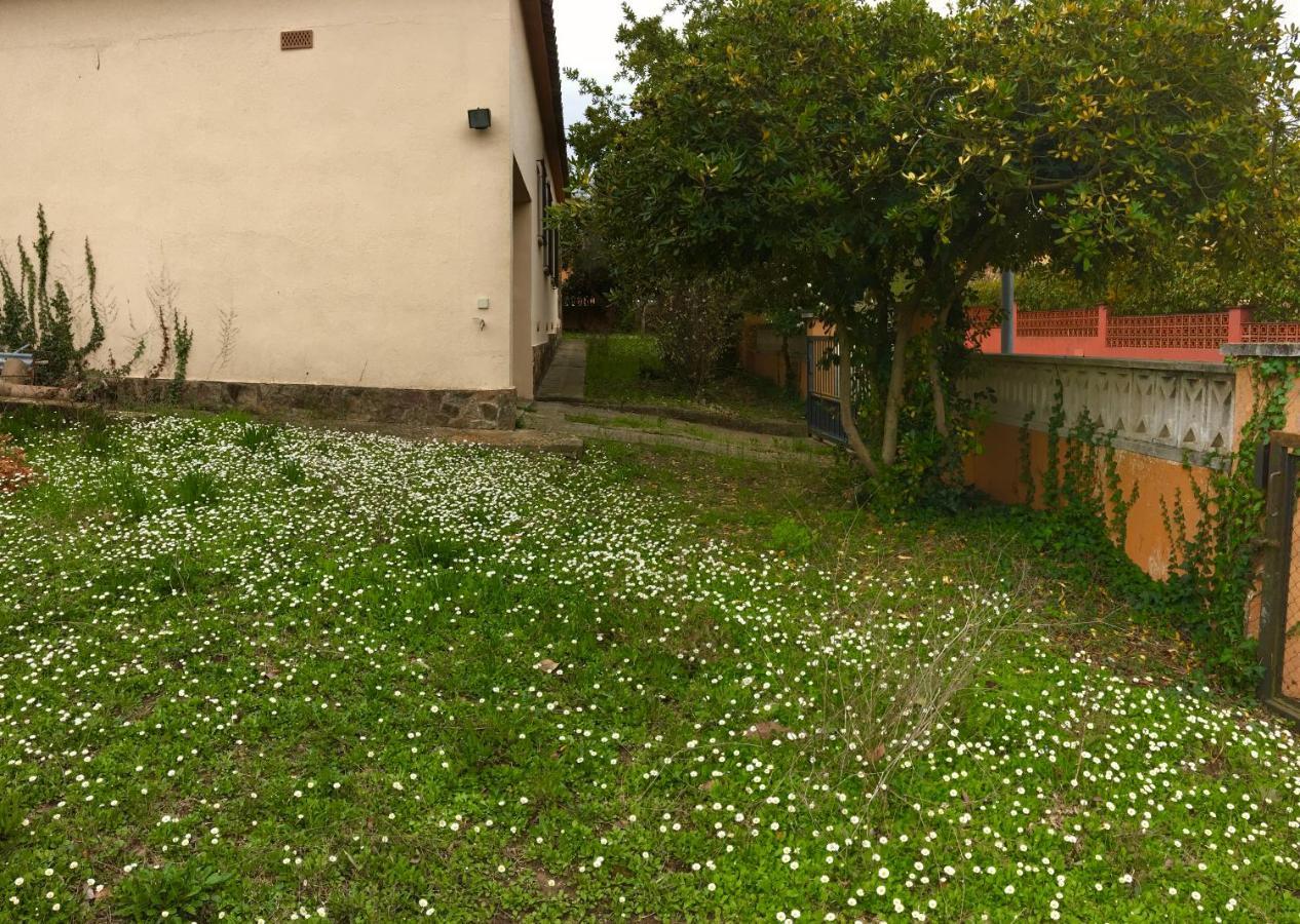 Casa Amb Gran Jardi A Vilauer-Costa Brava - Alt Emporda Vilaur Eksteriør billede