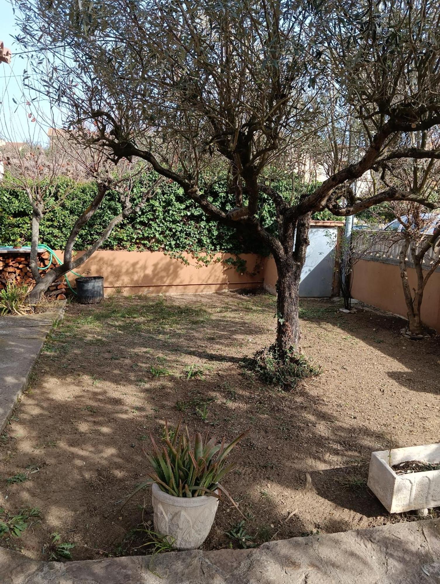 Casa Amb Gran Jardi A Vilauer-Costa Brava - Alt Emporda Vilaur Eksteriør billede