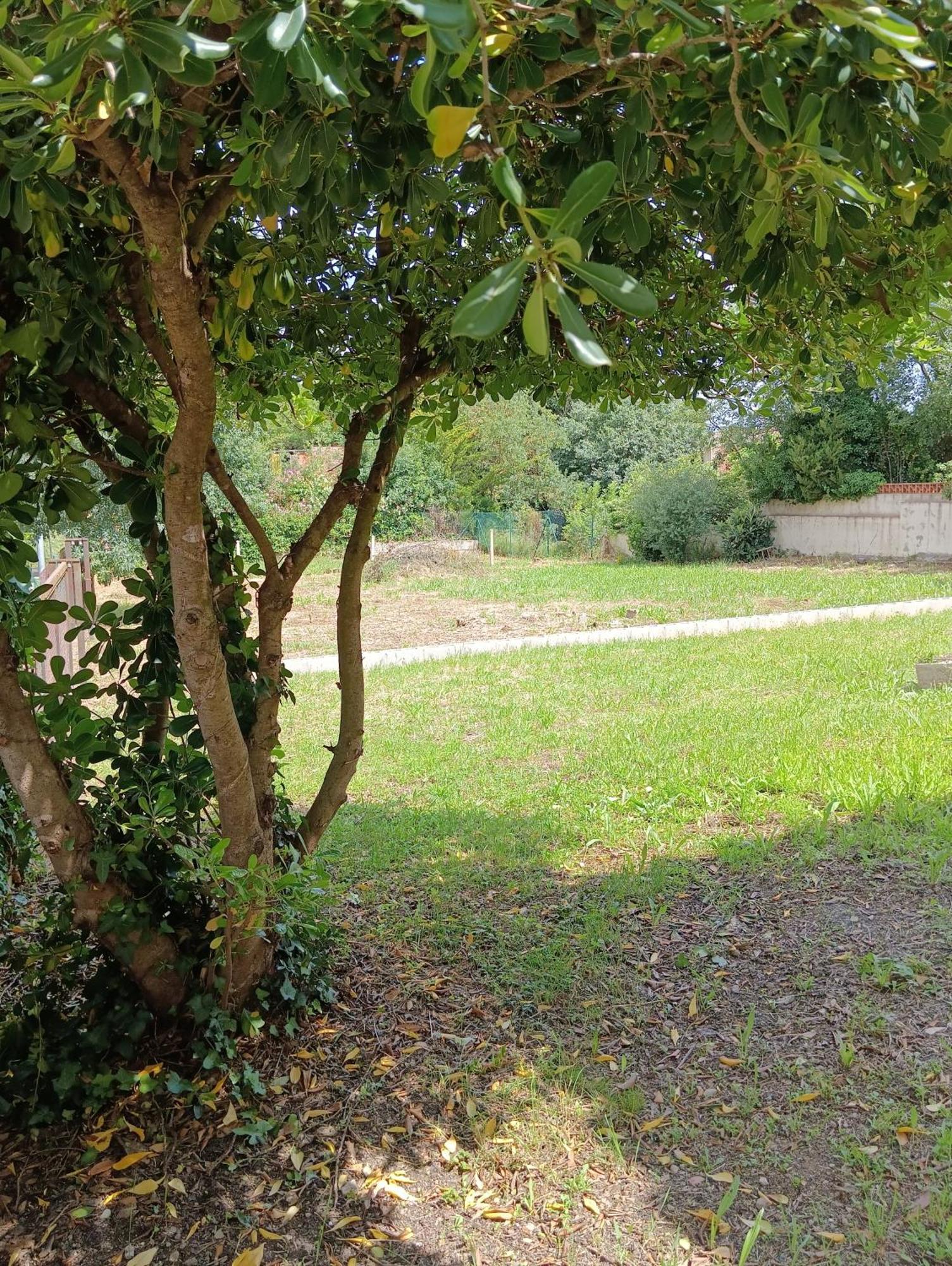 Casa Amb Gran Jardi A Vilauer-Costa Brava - Alt Emporda Vilaur Eksteriør billede