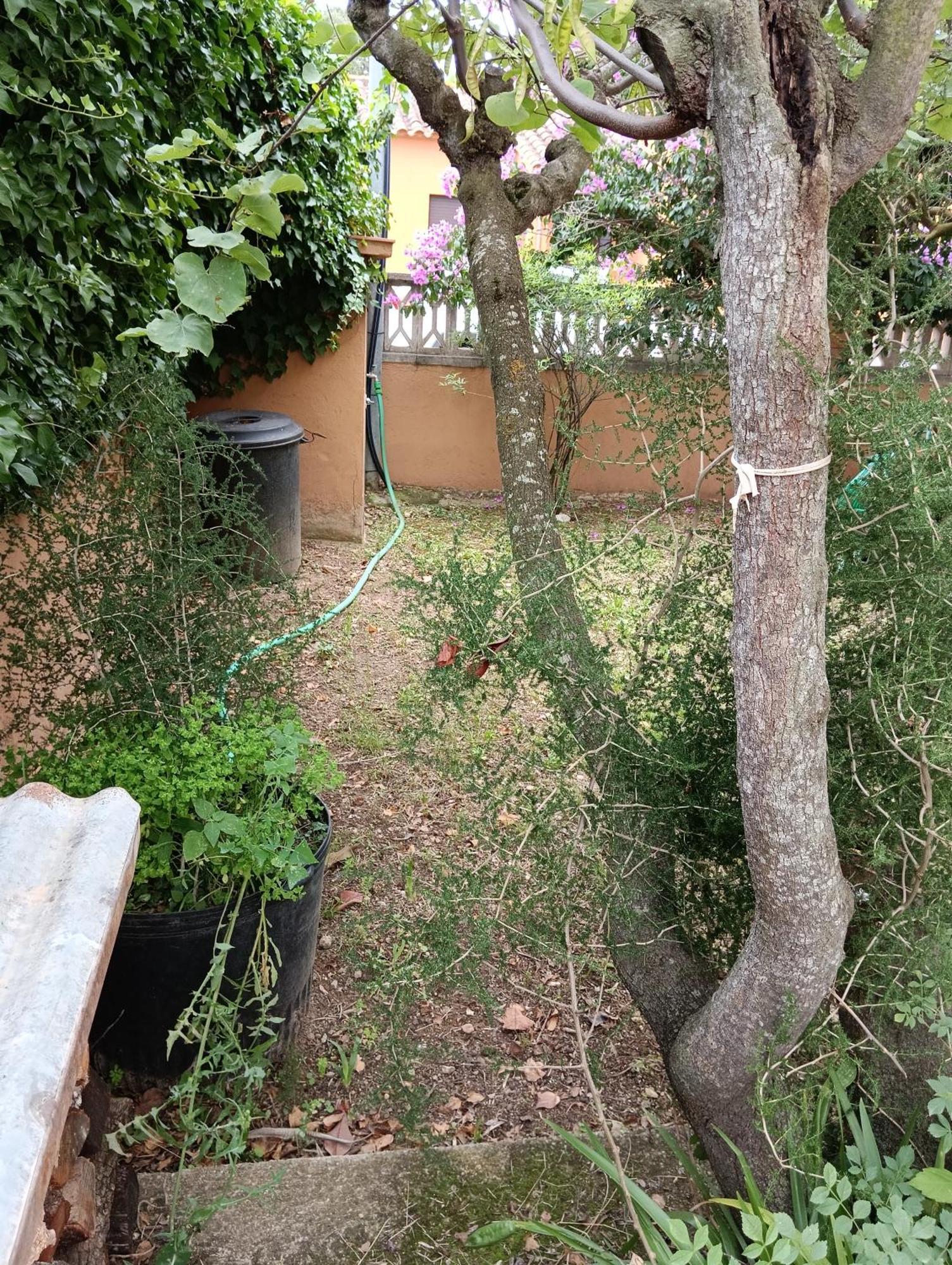 Casa Amb Gran Jardi A Vilauer-Costa Brava - Alt Emporda Vilaur Eksteriør billede