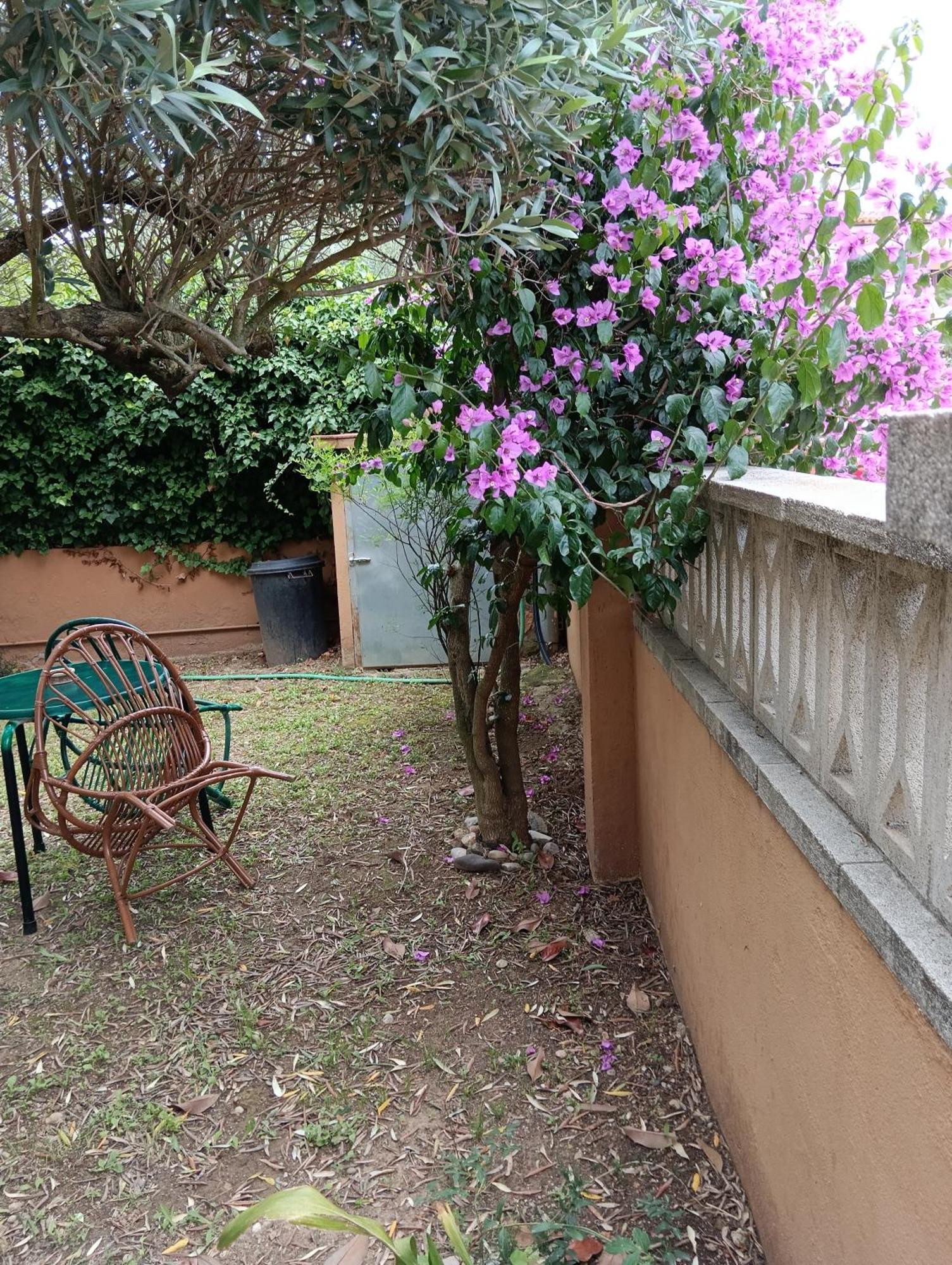 Casa Amb Gran Jardi A Vilauer-Costa Brava - Alt Emporda Vilaur Eksteriør billede