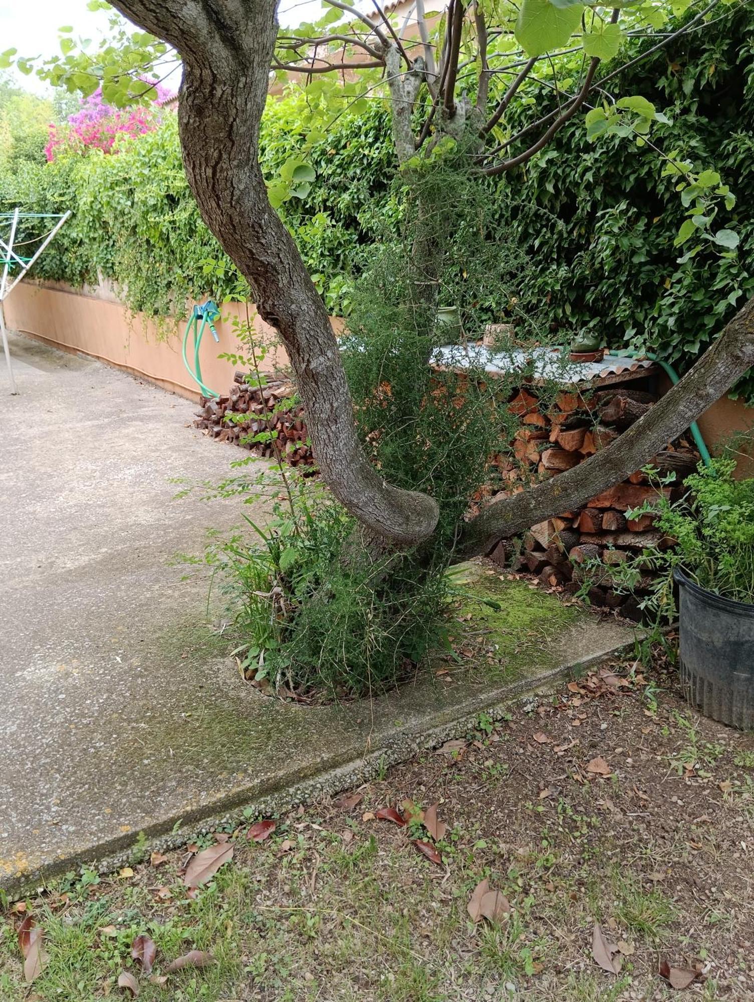 Casa Amb Gran Jardi A Vilauer-Costa Brava - Alt Emporda Vilaur Eksteriør billede