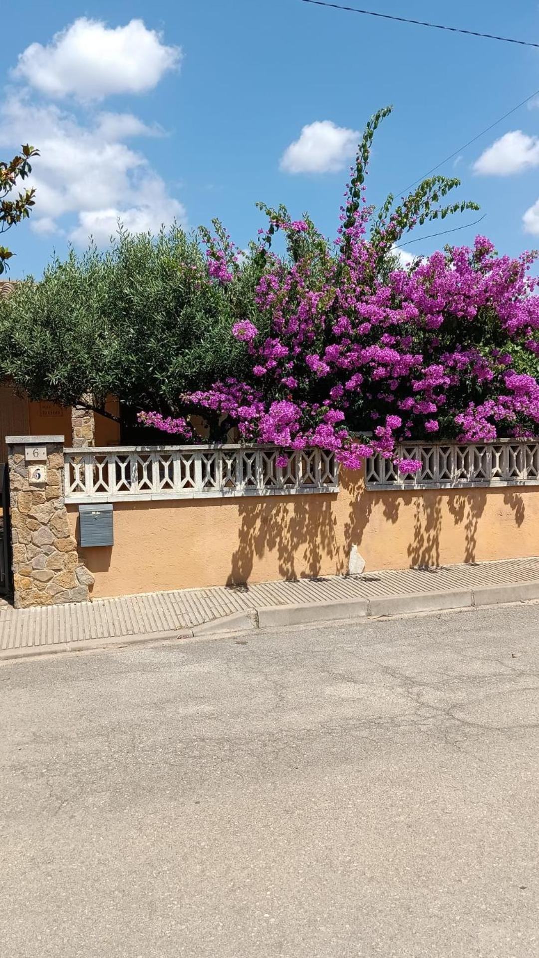 Casa Amb Gran Jardi A Vilauer-Costa Brava - Alt Emporda Vilaur Eksteriør billede